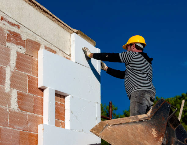 Best Residential Insulation in Carlinvle, IL