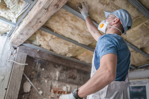 Professional Insulation Contractor in Carlinville, IL