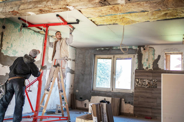 Best Insulation Maintenance and Repair in Carlinvle, IL
