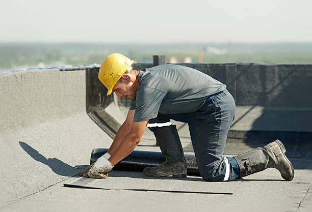 Best DIY Insulation Kits and Guidance in Carlinvle, IL