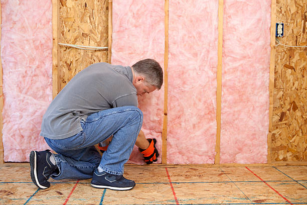 Best Fiberglass Insulation in Carlinvle, IL
