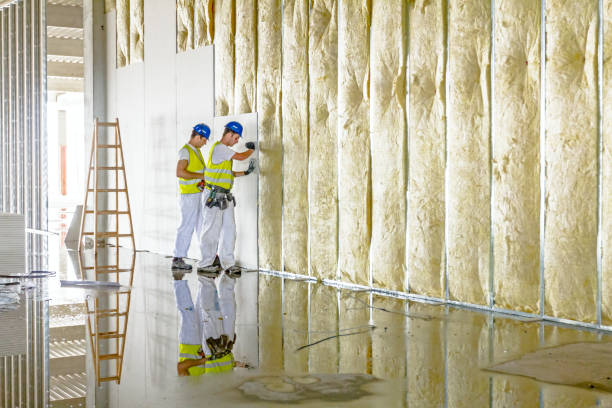 Types of Insulation We Offer in Carlinville, IL